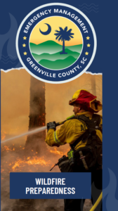 Wildfire